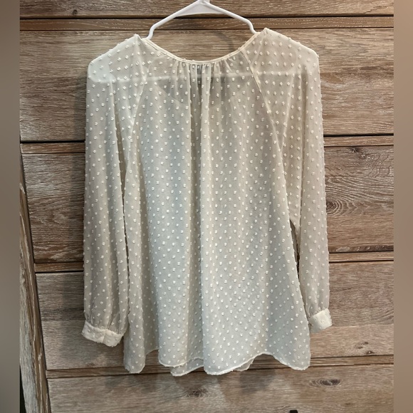 📦LAST CHANCE: Donating📦 J. Crew Cream Sheer Swiss Dot Long Sleeve Blouse - Picture 5 of 5